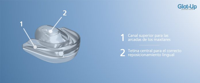 ¿Cómo funciona el Glot-Up?