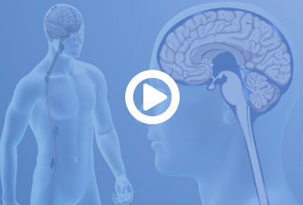 Flujo del líquido cefalorraquídeo